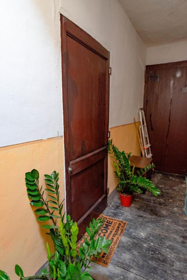 Nella Casa Del Pittore Torino